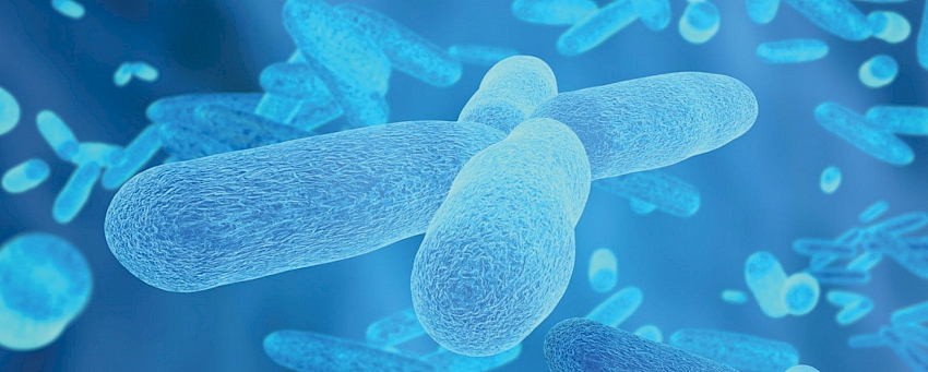 Uloga mikrobioma u crijevima!