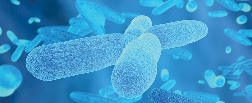Uloga mikrobioma u crijevima!