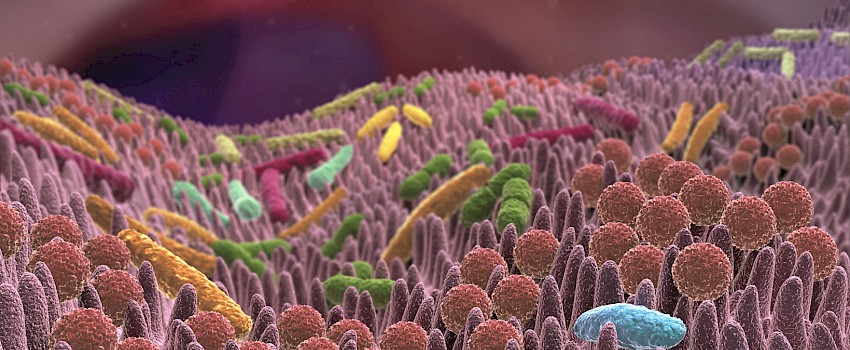 Mikrobiom u crijevima